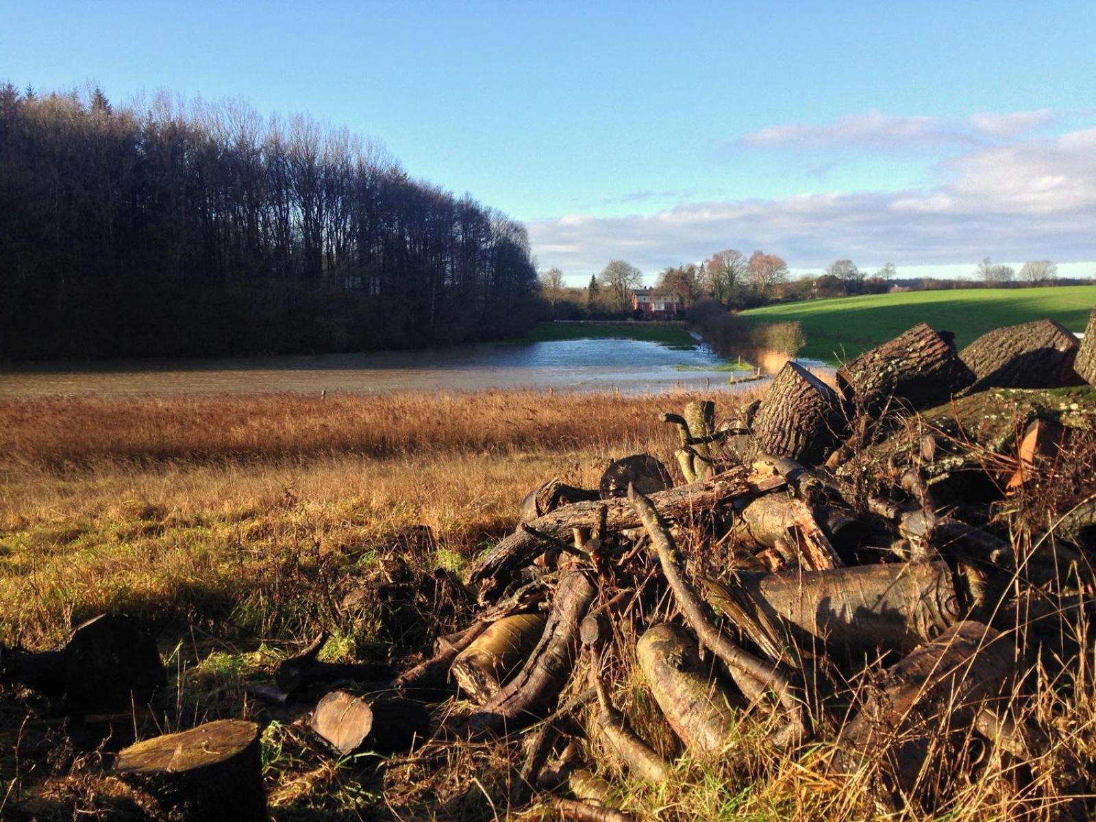 Ferienhaus Naturlich Wassermuhle Kappeln Zewnętrze zdjęcie