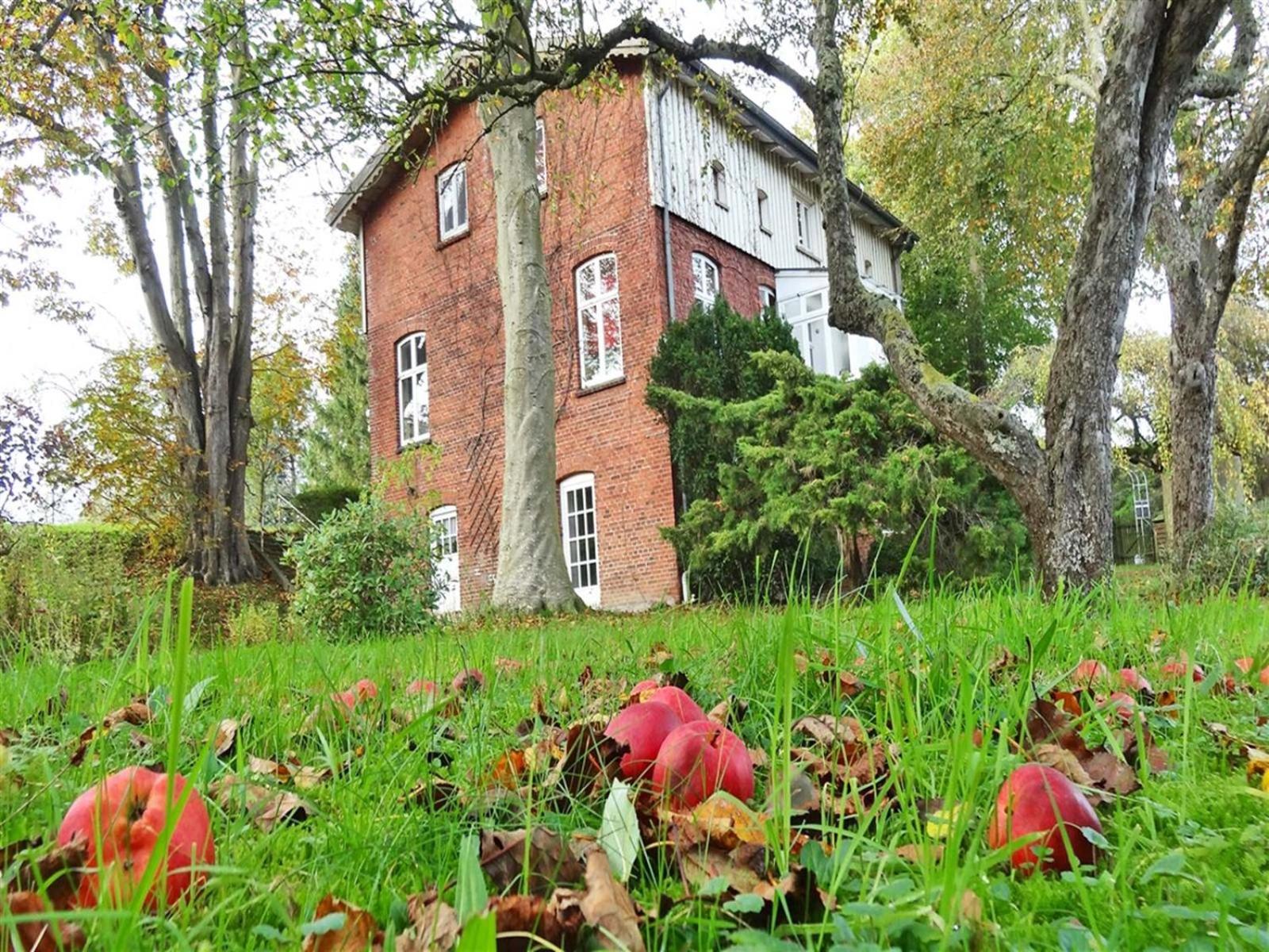 Ferienhaus Naturlich Wassermuhle Kappeln Zewnętrze zdjęcie